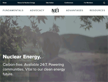 Tablet Screenshot of nei.org